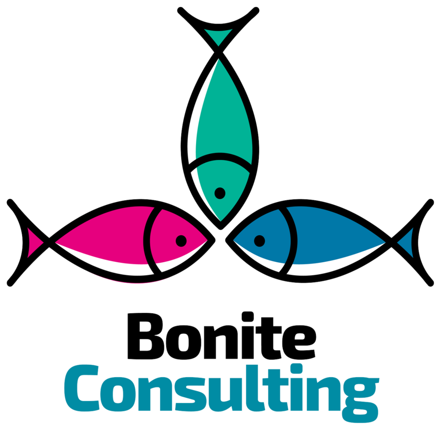 Logo Bonite Consulting en couleurs