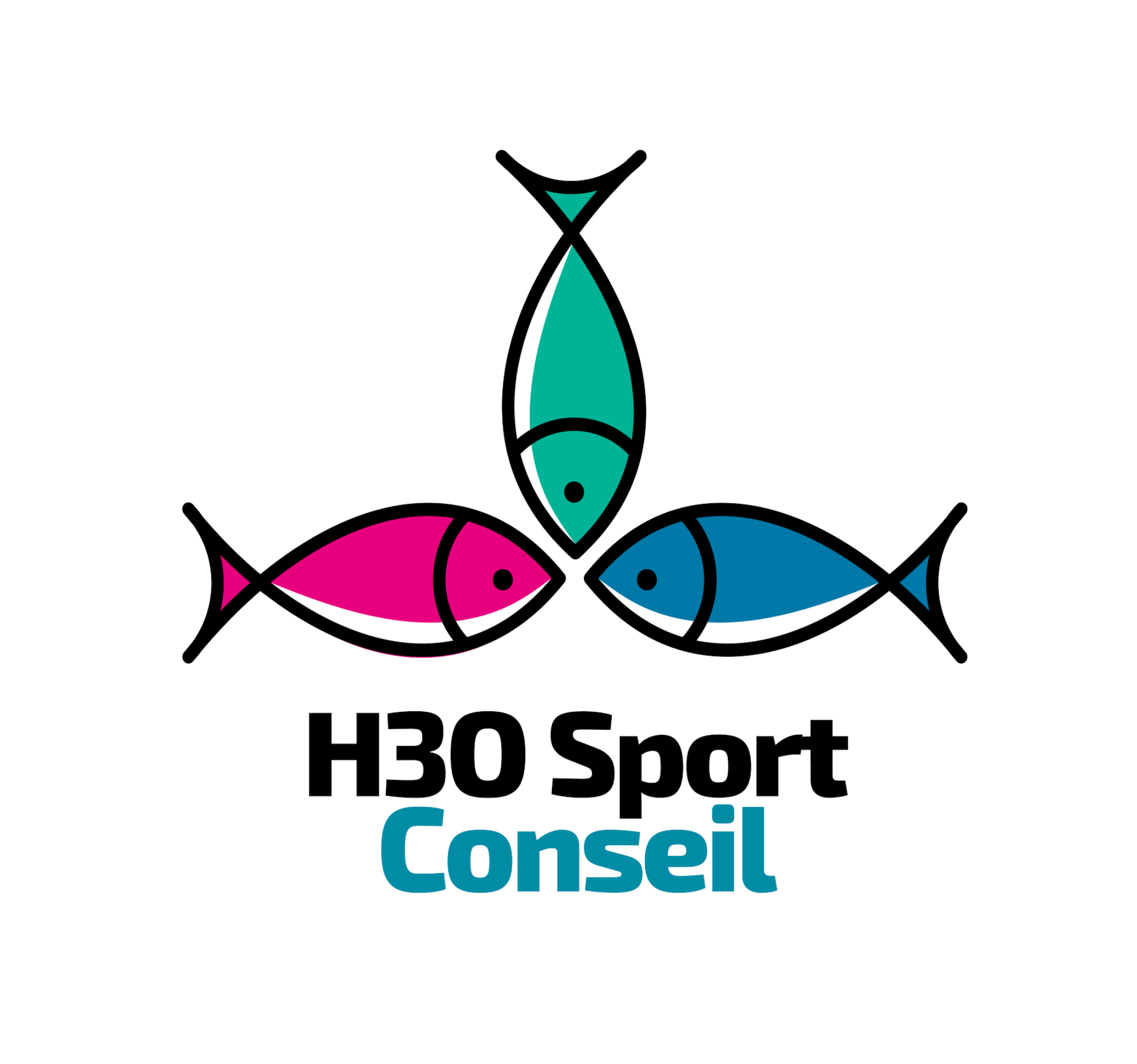 Logo couleur H3O Sport Conseil
