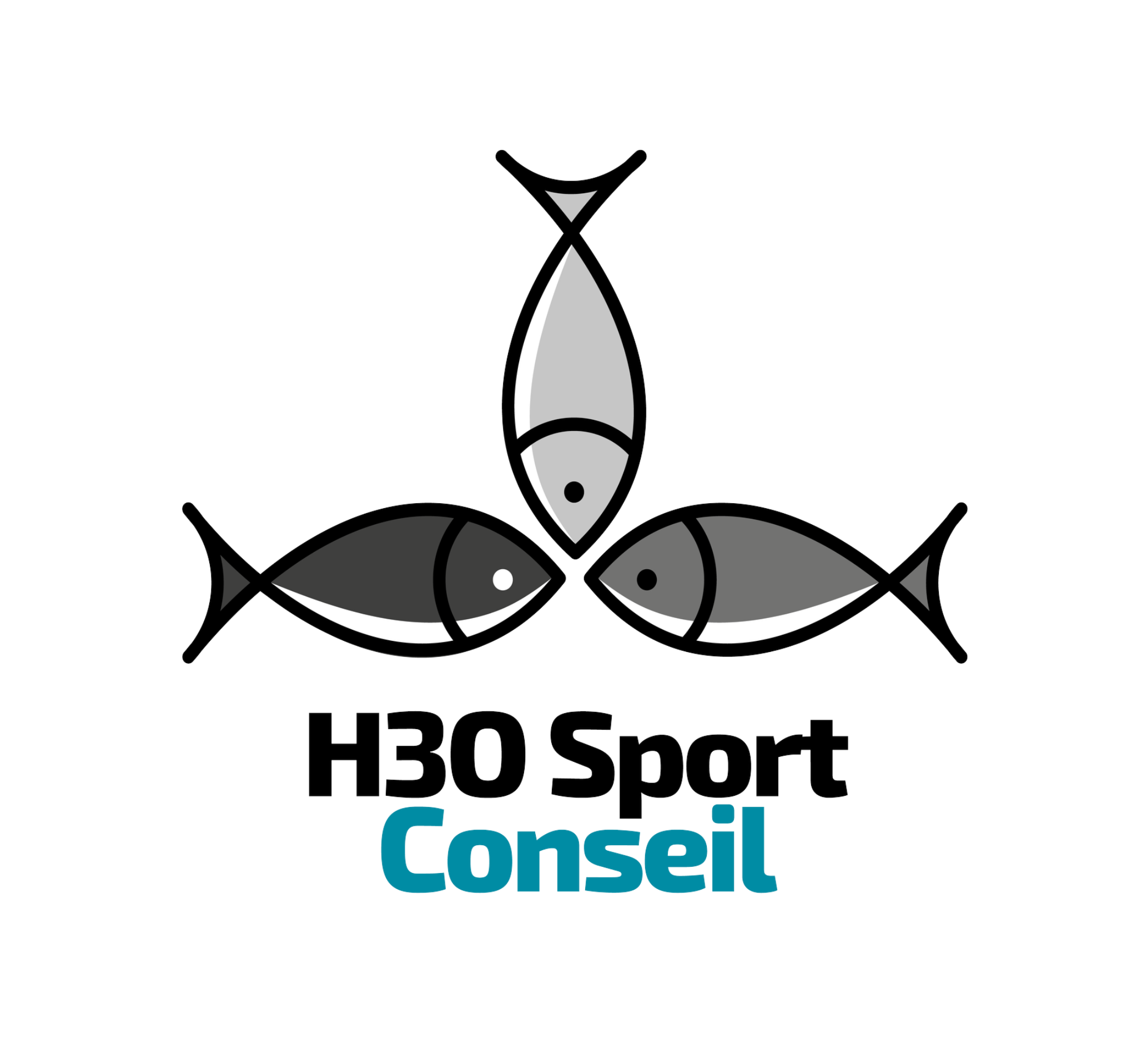 Logo H3O Sport Conseil
